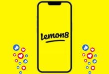 ليمون 8