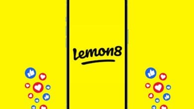 ليمون 8